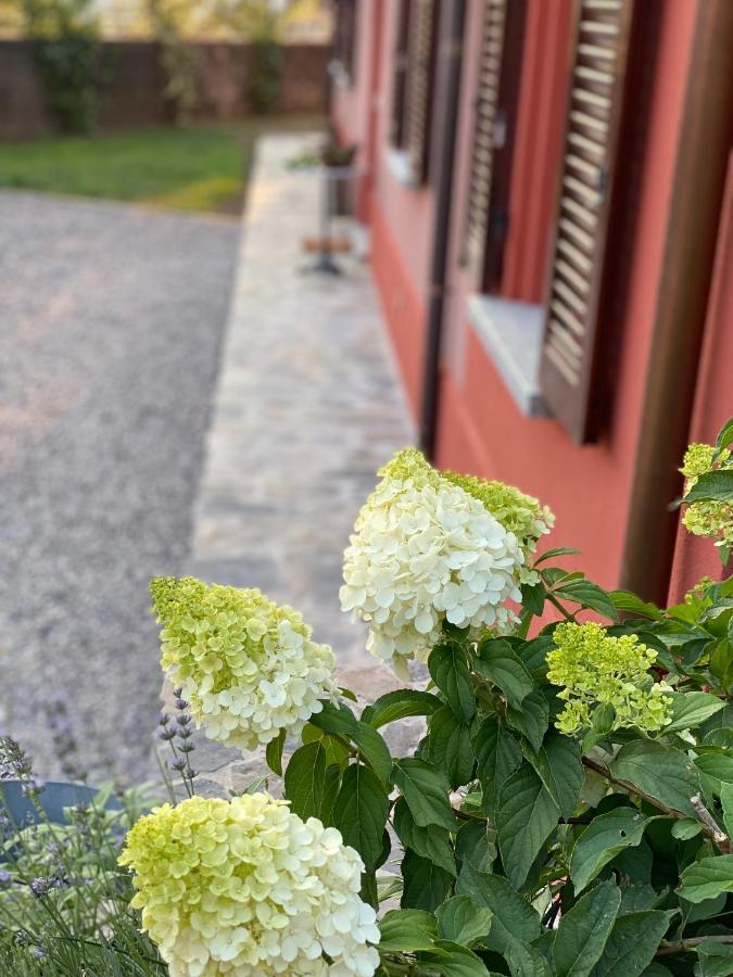 Il Mallo Verde - Lake Como B&B Mandello del Lario Exterior foto